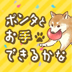 Pontaドリル Ponta Play